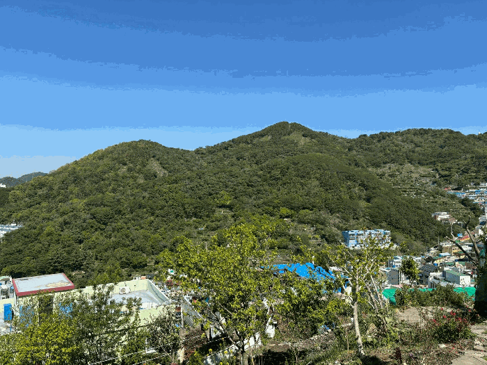 부산 사하구 감천동 임야 경매 물건 사진 3 · 2025타경101359