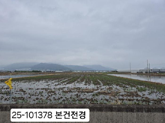 부산 강서구 강동동 답 경매 물건 사진