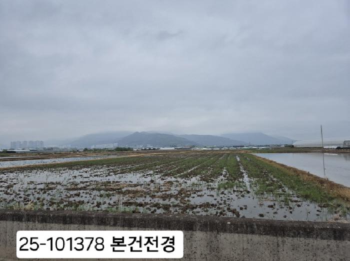 부산 강서구 강동동 답 경매 물건 사진 2 · 2025타경101378