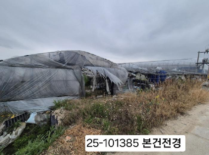 부산 강서구 강동동 답 경매 물건 사진 2 · 2025타경101385