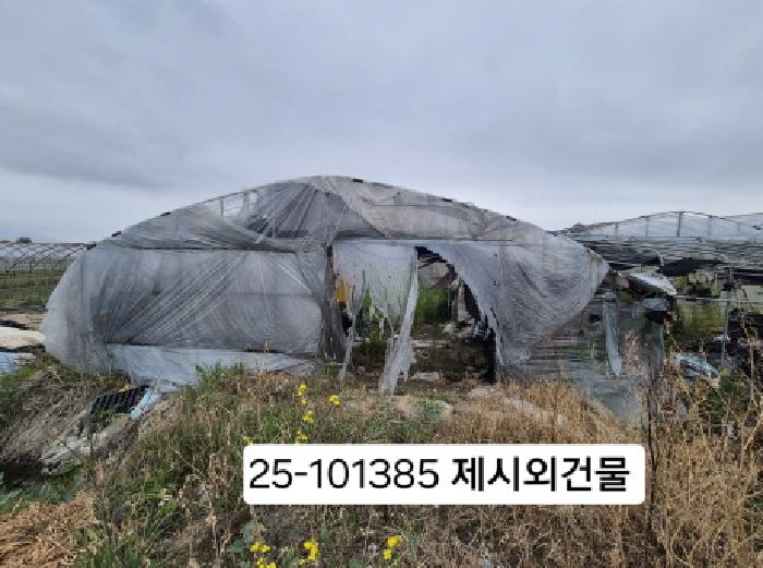 부산 강서구 강동동 답 경매 물건 사진 3 · 2025타경101385