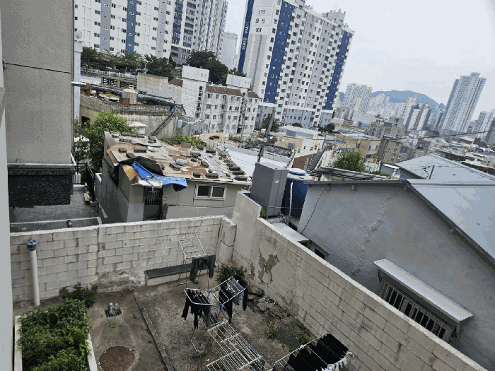 부산 사하구 괴정동 단독주택 경매 물건 사진 6 · 2025타경101456