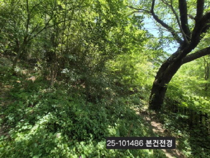 부산 북구 덕천동 임야 경매 물건 사진