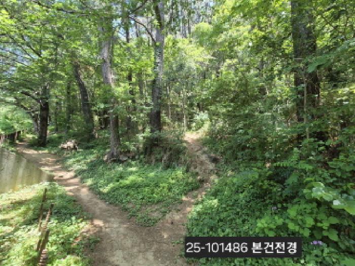 부산 북구 덕천동 임야 경매 물건 사진 2 · 2025타경101486