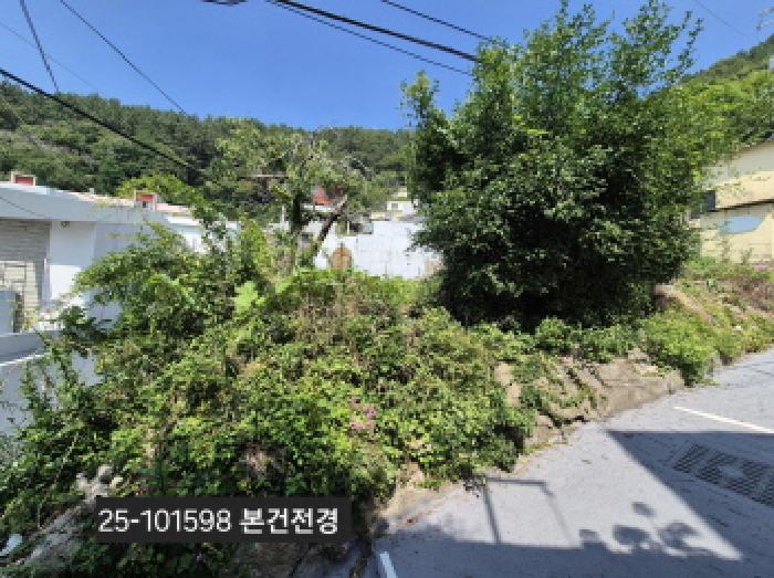 부산 사하구 괴정동 임야 경매 물건 사진