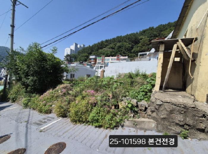 부산 사하구 괴정동 임야 경매 물건 사진 2 · 2025타경101598