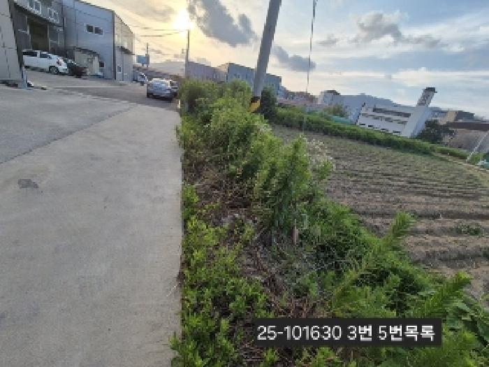 부산 강서구 대저1동 공장/지식산업센터 경매 물건 사진 4 · 2025타경101630