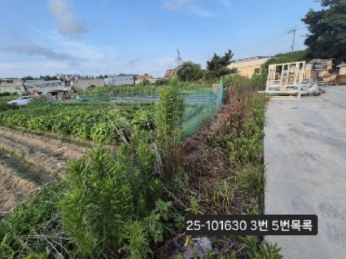 부산 강서구 대저1동 공장/지식산업센터 경매 물건 사진 5 · 2025타경101630