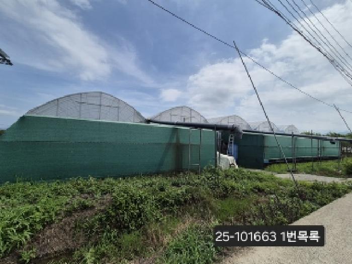 부산 강서구 강동동 전답 경매 물건 사진 6 · 2025타경101663