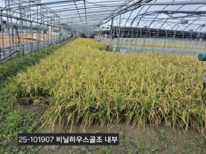 부산 강서구 대저2동 답 경매 물건 사진 4 · 2025타경101907