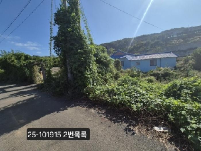 부산 강서구 천성동 대지 경매 물건 사진 2 · 2025타경101915