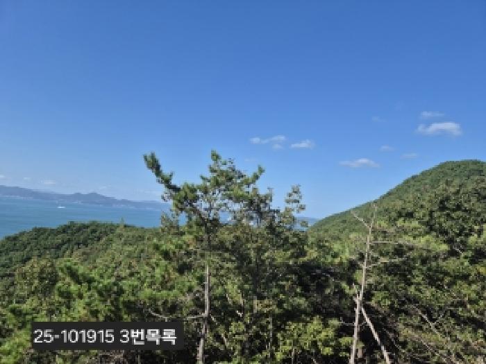 부산 강서구 천성동 대지 경매 물건 사진 5 · 2025타경101915