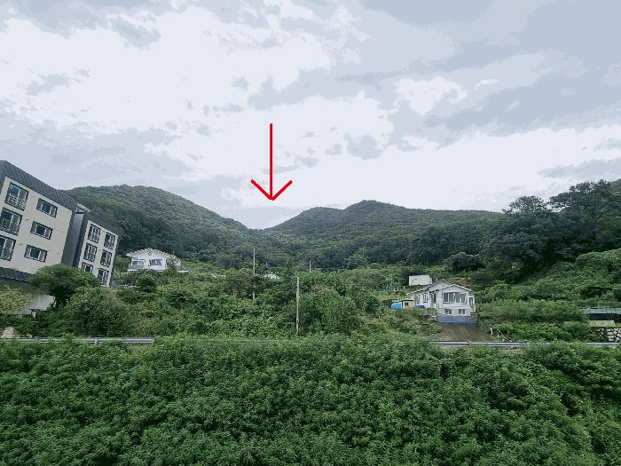 부산 강서구 성북동 임야 경매 물건 사진 6 · 2025타경101919
