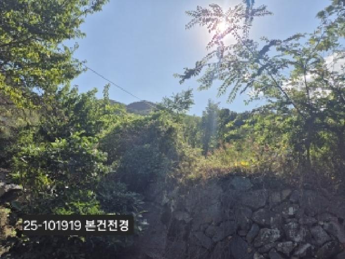 부산 강서구 성북동 임야 경매 물건 사진