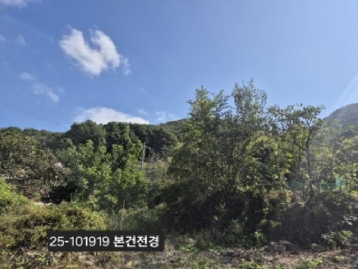 부산 강서구 성북동 임야 경매 물건 사진 2 · 2025타경101919