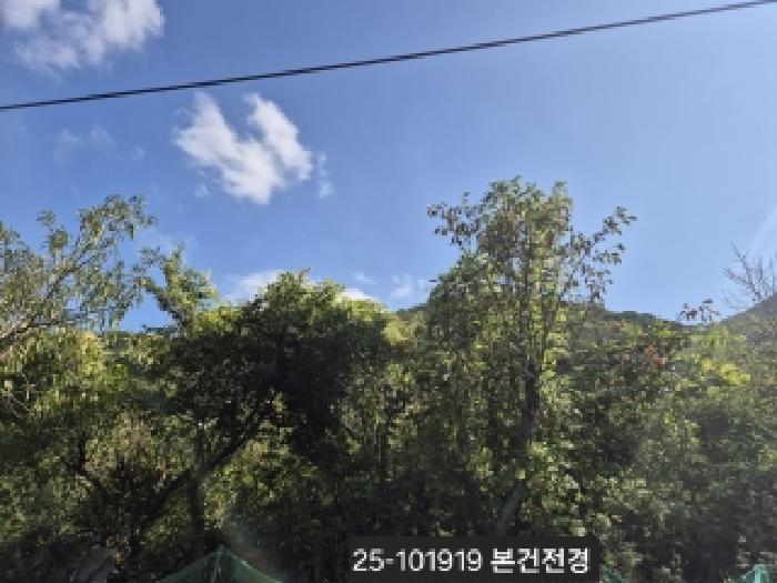 부산 강서구 성북동 임야 경매 물건 사진 3 · 2025타경101919
