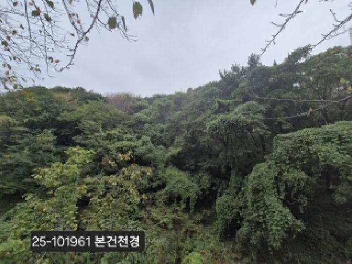 부산 사하구 당리동 임야 경매 물건 사진 2 · 2025타경101961