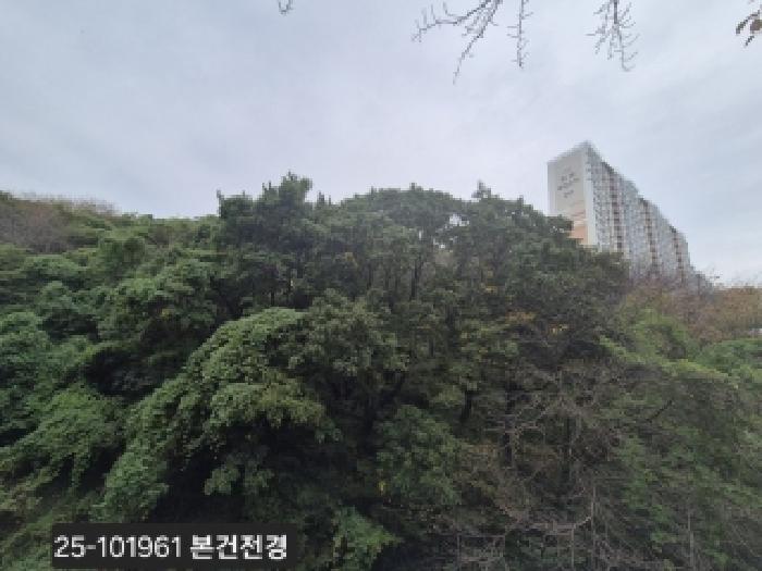 부산 사하구 당리동 임야 경매 물건 사진