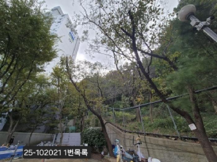 부산 사하구 하단동 임야 경매 물건 사진