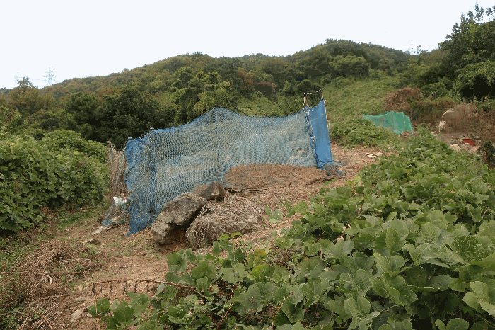 부산 강서구 녹산동 전 경매 물건 사진 6 · 2025타경102091