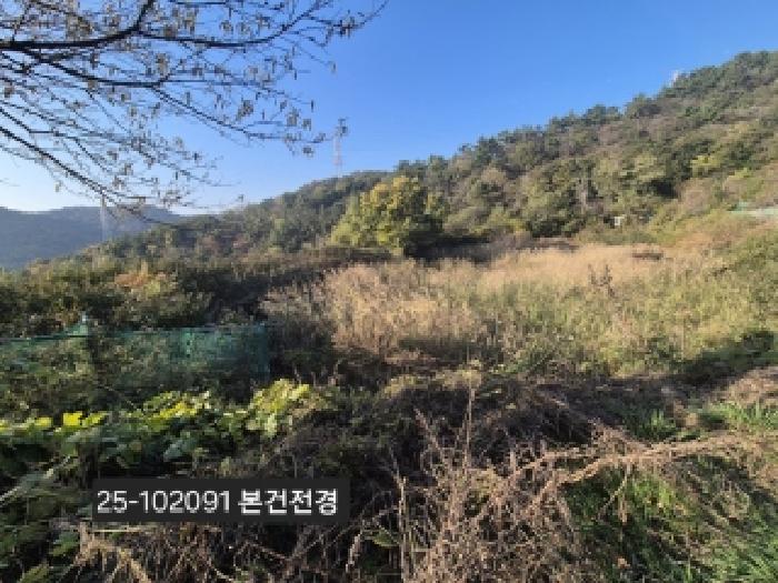 부산 강서구 녹산동 전 경매 물건 사진