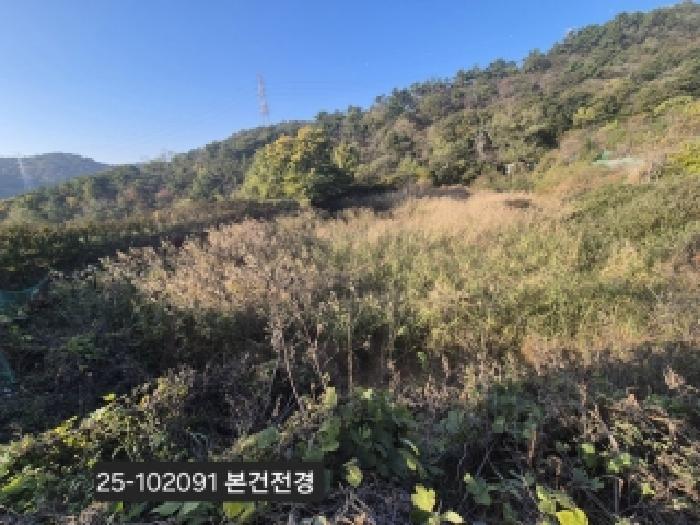 부산 강서구 녹산동 전 경매 물건 사진 2 · 2025타경102091