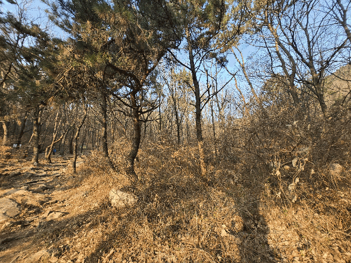 부산 북구 만덕동 임야 경매 물건 사진 4 · 2025타경102114