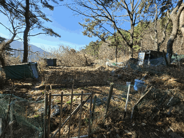 부산 북구 만덕동 임야 경매 물건 사진 6 · 2025타경102114