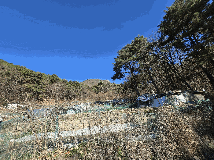 부산 북구 만덕동 임야 경매 물건 사진 3 · 2025타경102114