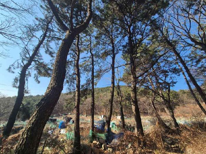 부산 북구 만덕동 임야 경매 물건 사진 2 · 2025타경102114