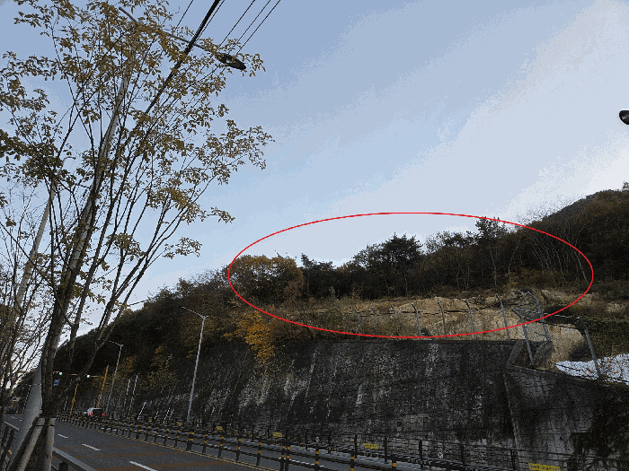 부산 북구 만덕동 임야 경매 물건 사진 5 · 2025타경102163