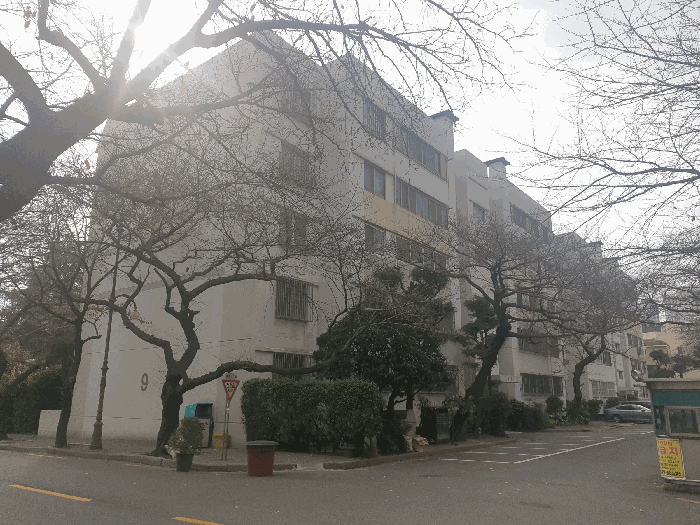 부산광역시 서구 동대신동2가 313-148 삼익아파트 9동 1층102호 아파트 경매 물건 사진