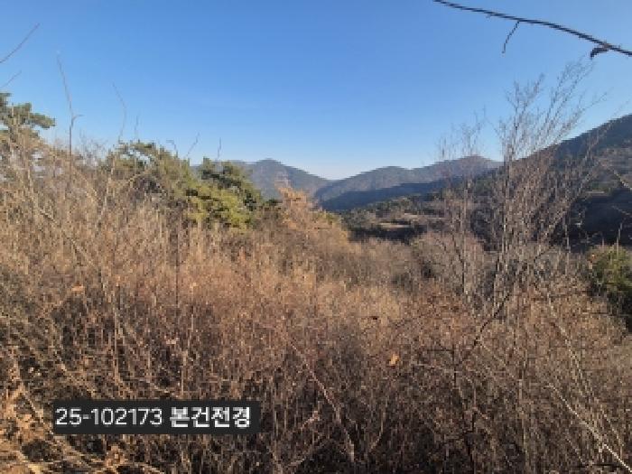 부산 강서구 천성동 전답 경매 물건 사진