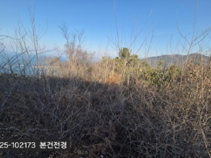부산 강서구 천성동 전답 경매 물건 사진 2 · 2025타경102173