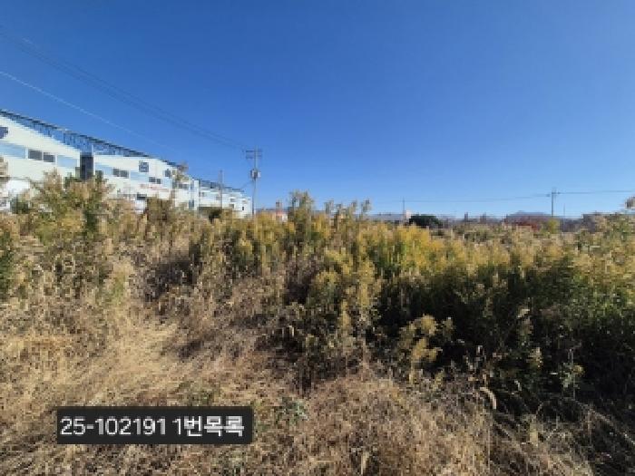 부산 강서구 대저2동 전답 경매 물건 사진 2 · 2025타경102191