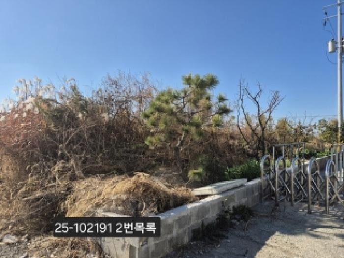 부산 강서구 대저2동 전답 경매 물건 사진 5 · 2025타경102191