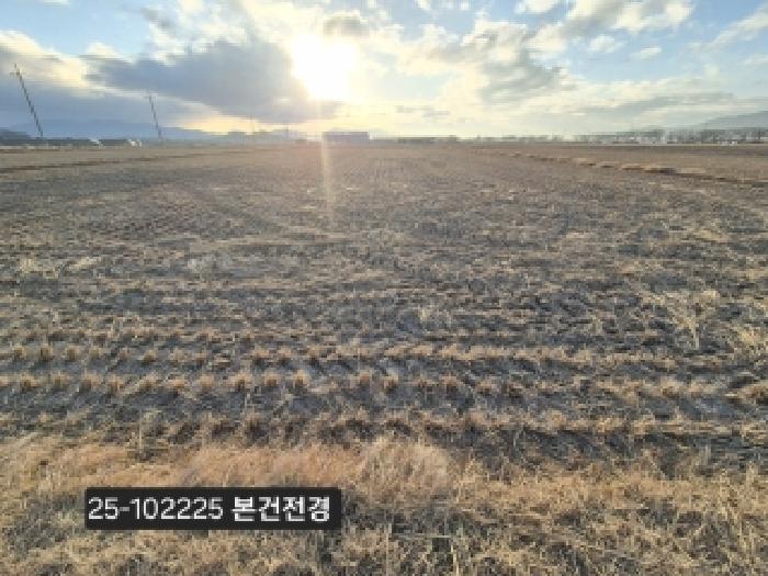 부산 강서구 죽동동 답 경매 물건 사진