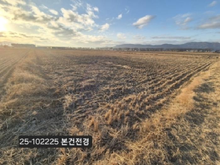 부산 강서구 죽동동 답 경매 물건 사진 2 · 2025타경102225