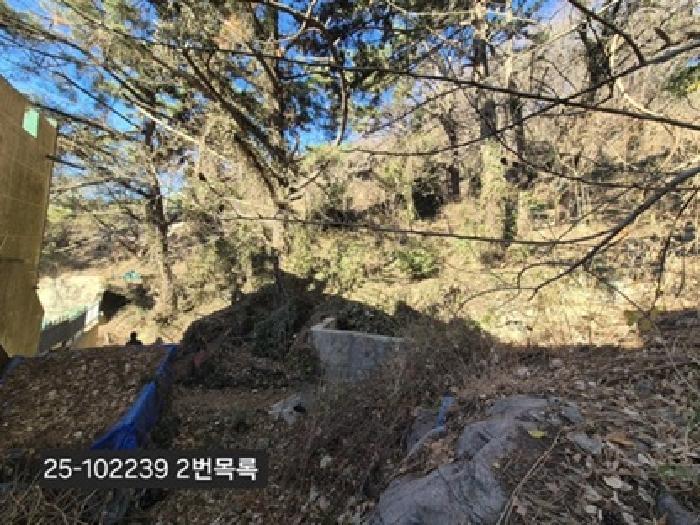 부산 사하구 당리동 임야 경매 물건 사진 3 · 2025타경102239