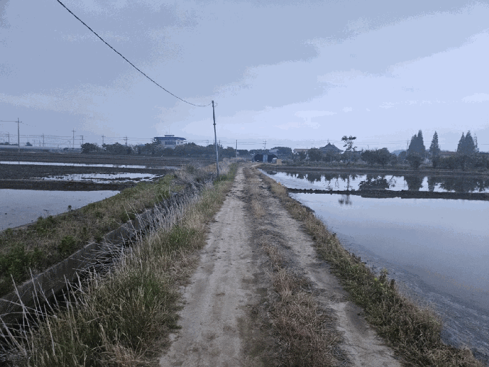 부산 강서구 죽림동 답 경매 물건 사진 5 · 2025타경1451