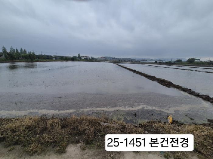 부산 강서구 죽림동 답 경매 물건 사진