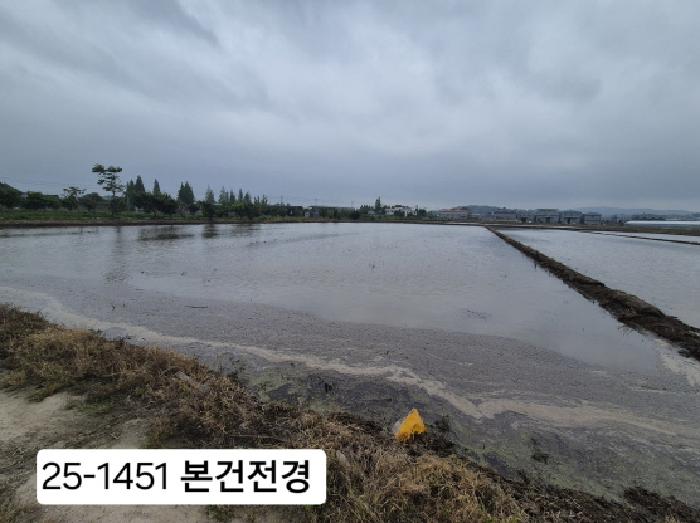 부산 강서구 죽림동 답 경매 물건 사진 2 · 2025타경1451