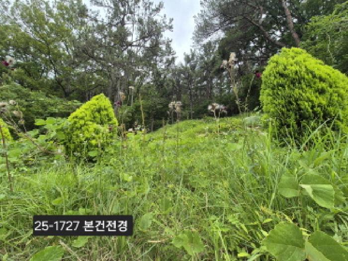 부산 강서구 지사동 임야 경매 물건 사진 3 · 2025타경1727