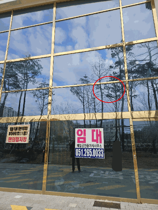 부산 사하구 다대동 근린생활시설 경매 물건 사진 4 · 2025타경4283