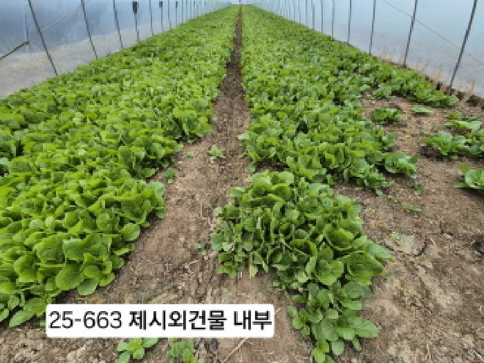 부산 강서구 대저2동 답 경매 물건 사진 3 · 2025타경663