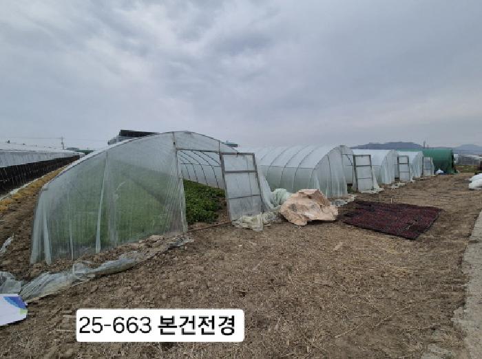 부산 강서구 대저2동 답 경매 물건 사진