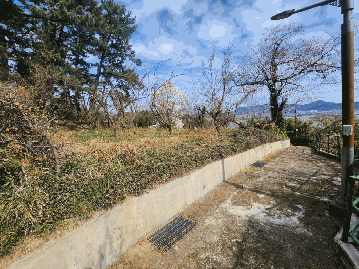 부산 강서구 죽림동 과수원 경매 물건 사진 3 · 2025타경823