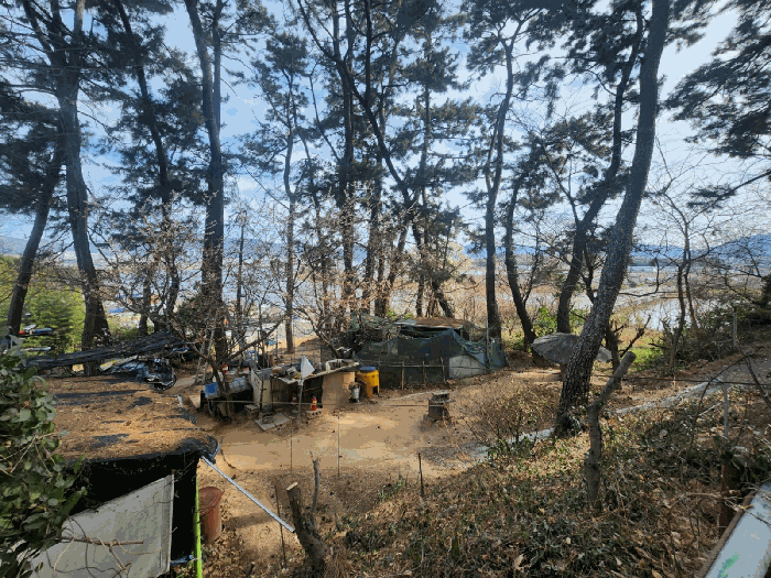 부산 강서구 죽림동 과수원 경매 물건 사진 6 · 2025타경823