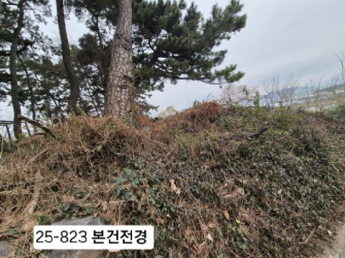 부산 강서구 죽림동 과수원 경매 물건 사진