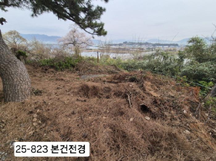 부산 강서구 죽림동 과수원 경매 물건 사진 2 · 2025타경823